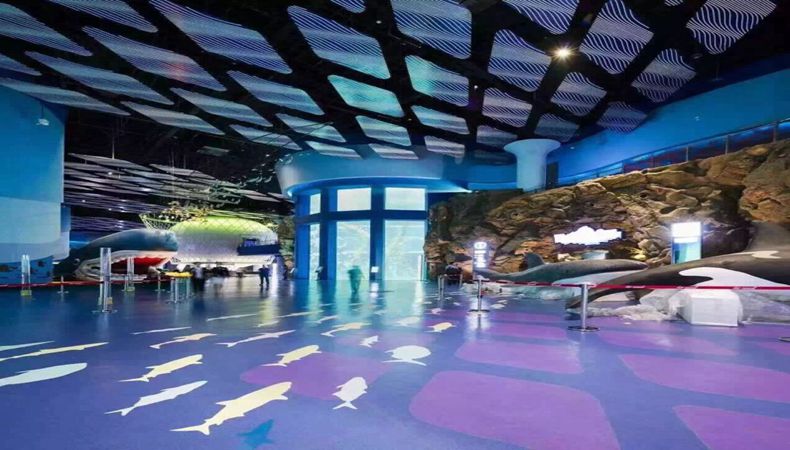 博天堂(btt)官网-918博天堂,让你更精彩